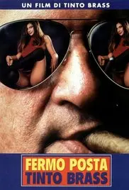 《激情信箱》：揭秘匿名情书背后的爱恨纠葛，一场跨越时空的浪漫与背叛的禁忌之旅！